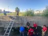 nota 6