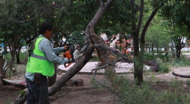 SALTILLO 32A