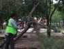 SALTILLO 32A