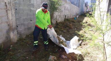 SALTILLO21D