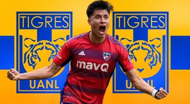 TIGRES