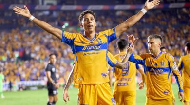 TIGRES