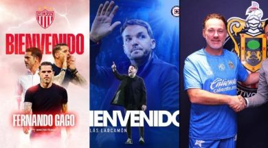 Técnicos