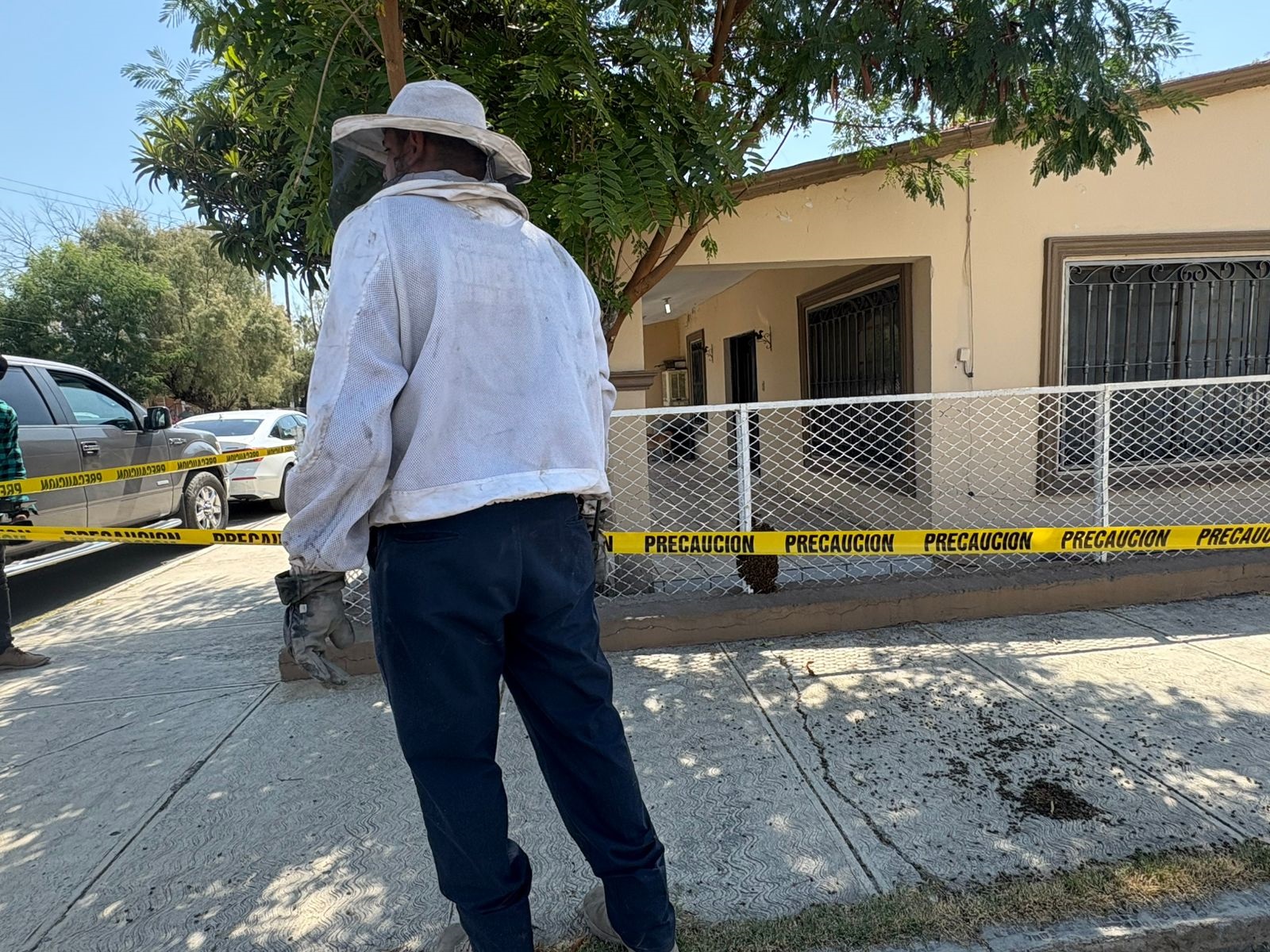 Bomberos y apicultores reubicaron colonia de abejas concentrada en zona escolar 