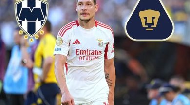 BELOTTI