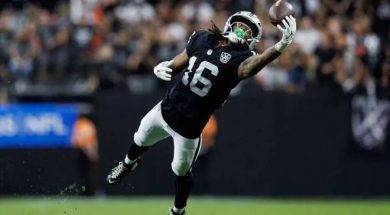 RAIDERS