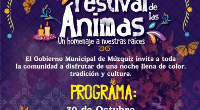 Imagen de WhatsApp 2025-10-28 a las 11.29.08_0f1c3d8e