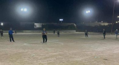 LENIS 33-281025-BLUE JAYS-3