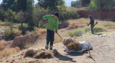 SALTILLO23A