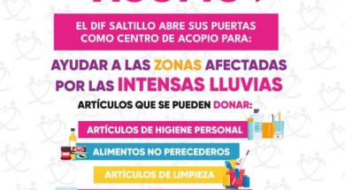 SALTILLO43