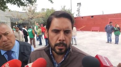 bacheo