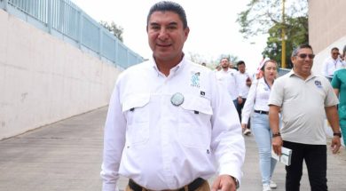 hector42