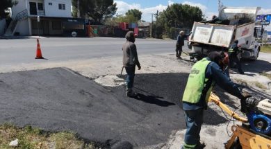 saltillo24d