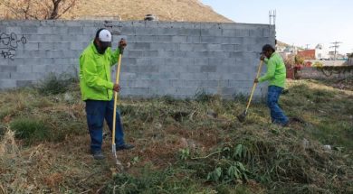SALTILLO23
