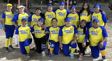LENIS 53-041225-LP-1