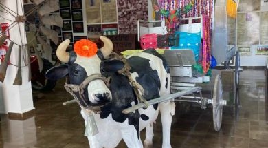 chuy53c