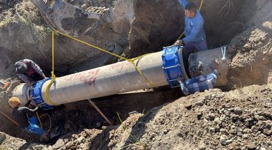 BERTHA22A