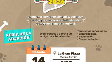 SALTILLO35