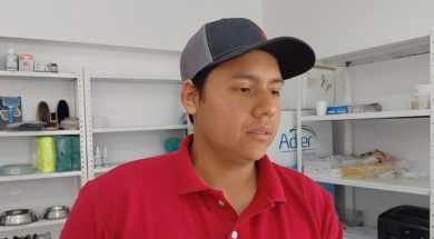 Alex43