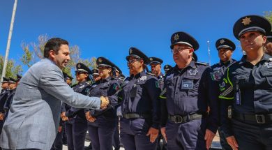 SALTILLO 41