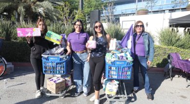 Saltillo 16