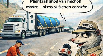 Cartón