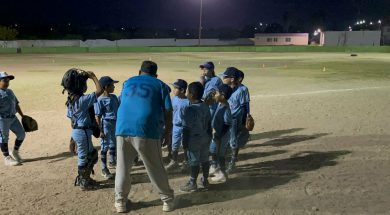 LENIS 42-010426-BLUE JAYS-1