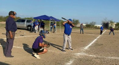 LENIS 30-120526-CACHORROS-1