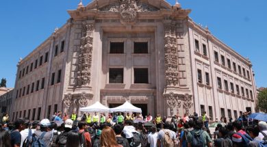 SALTILLO43C