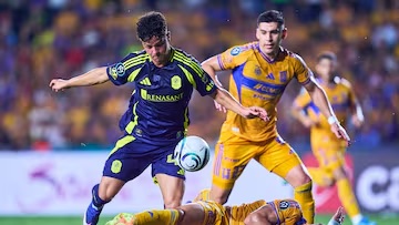 Tigres