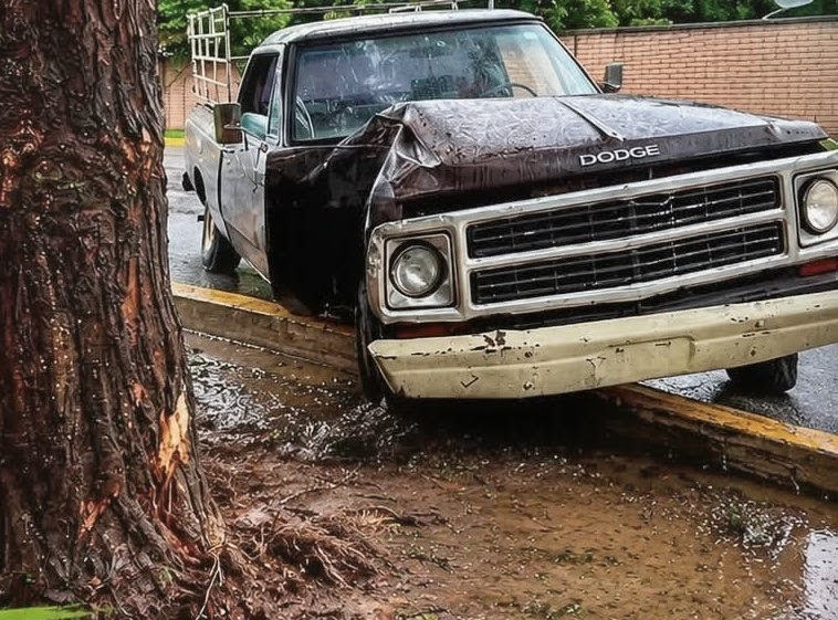 Pierde el control en curva y termina impactado contra un árbol en Colosio