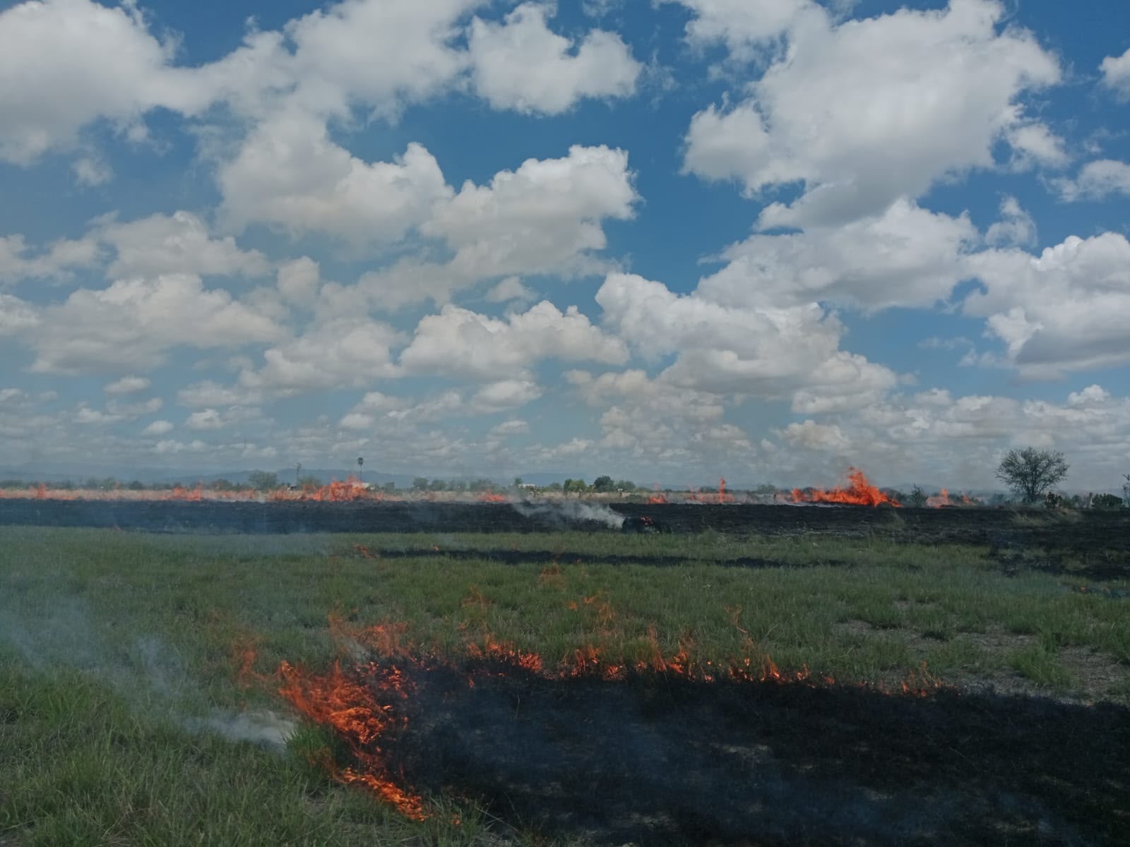 Un incendio forestal de grandes proporciones moviliza a cuerpos de emergencia en el ejido Nogalitos de Múzquiz
