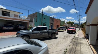 Chuy 31