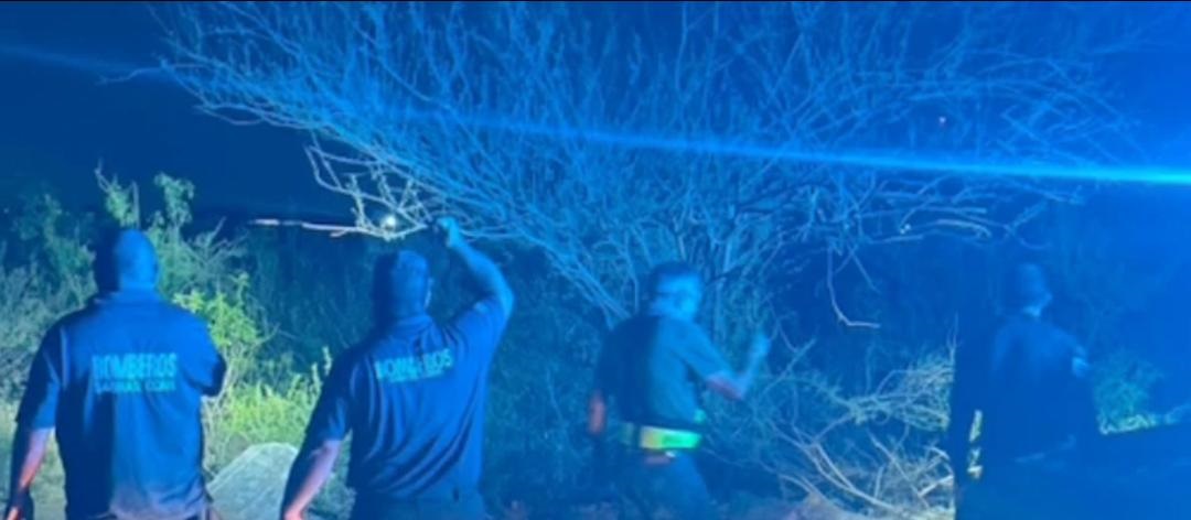 OSO MOVILIZA AUTORIDADES EN AGUJITA