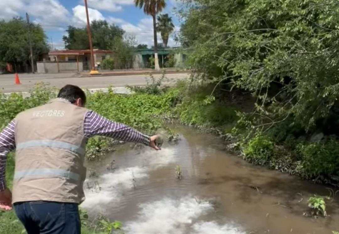 Descacharrización y fumigación contra el Dengue