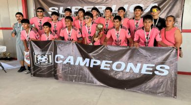 LENIS 41-170626-CACHORROS-1