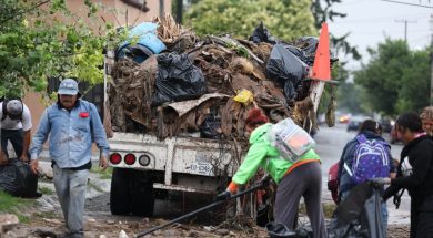 SALTILLO26