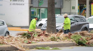 SALTILLO33G