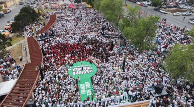 SALTILLO43
