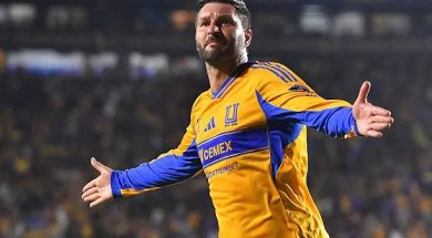 TIGRES
