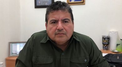 alex31