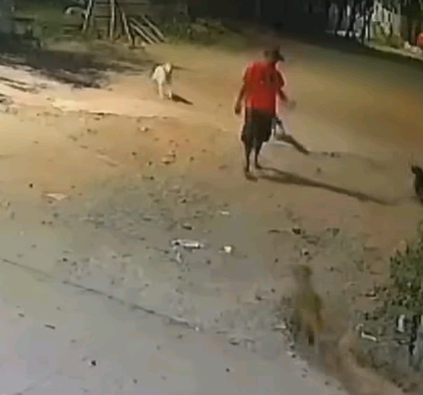 Sufre hombre feroz ataque de can quería arrancarle la mano 